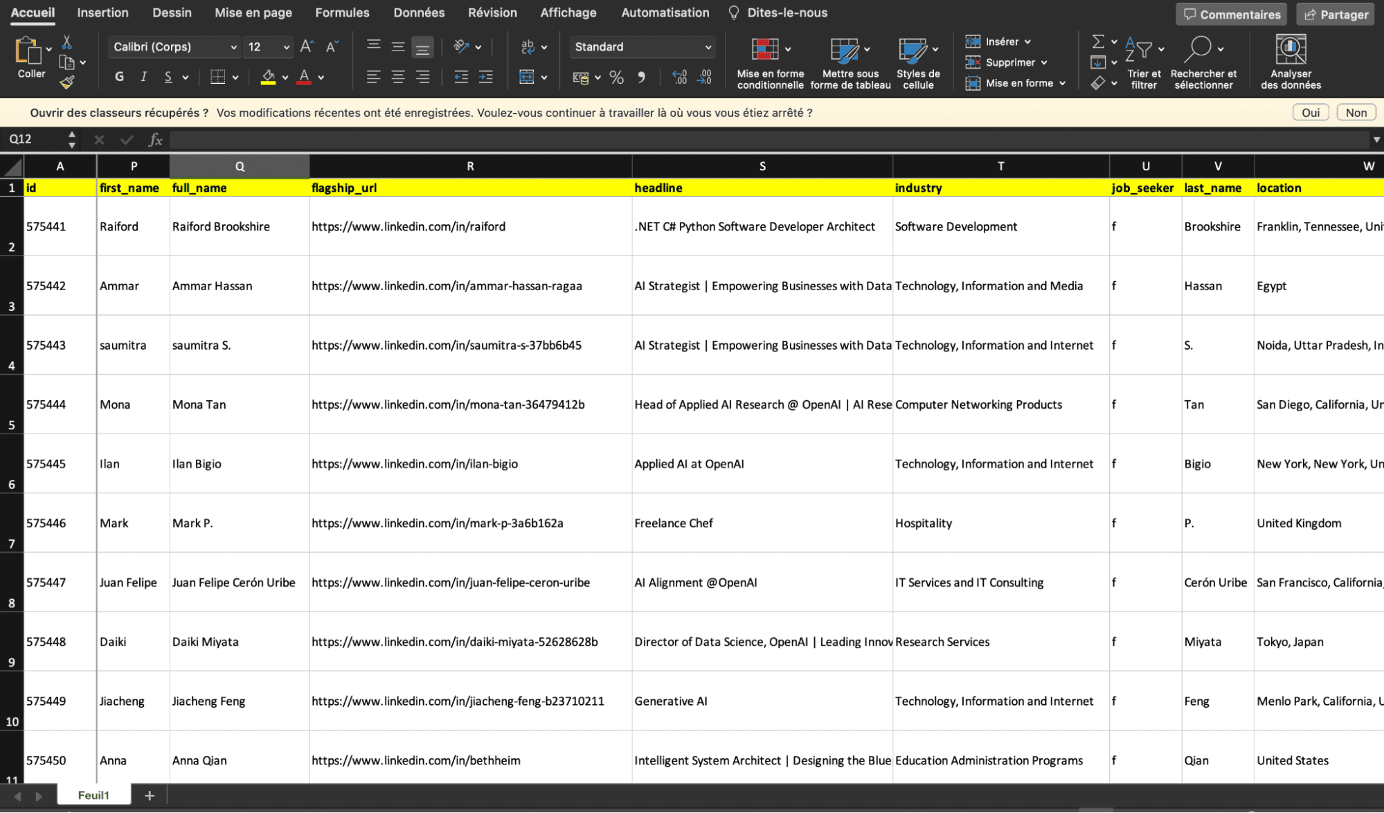 Sales Navigator Profiles data scraped in CSV format