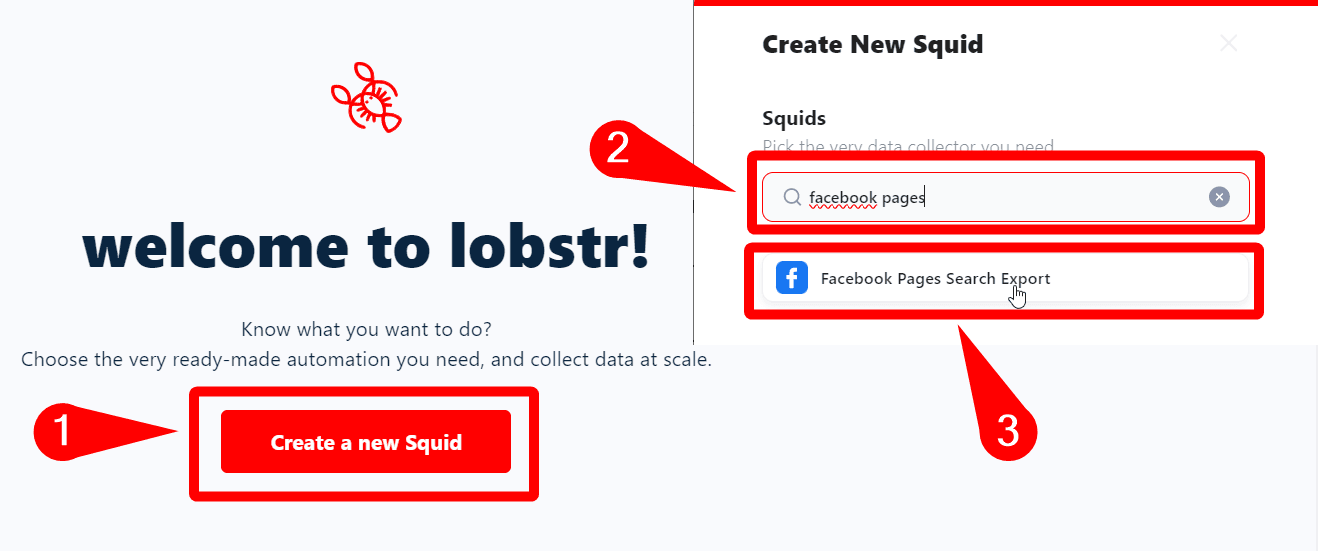 create facebook squid - image5.png