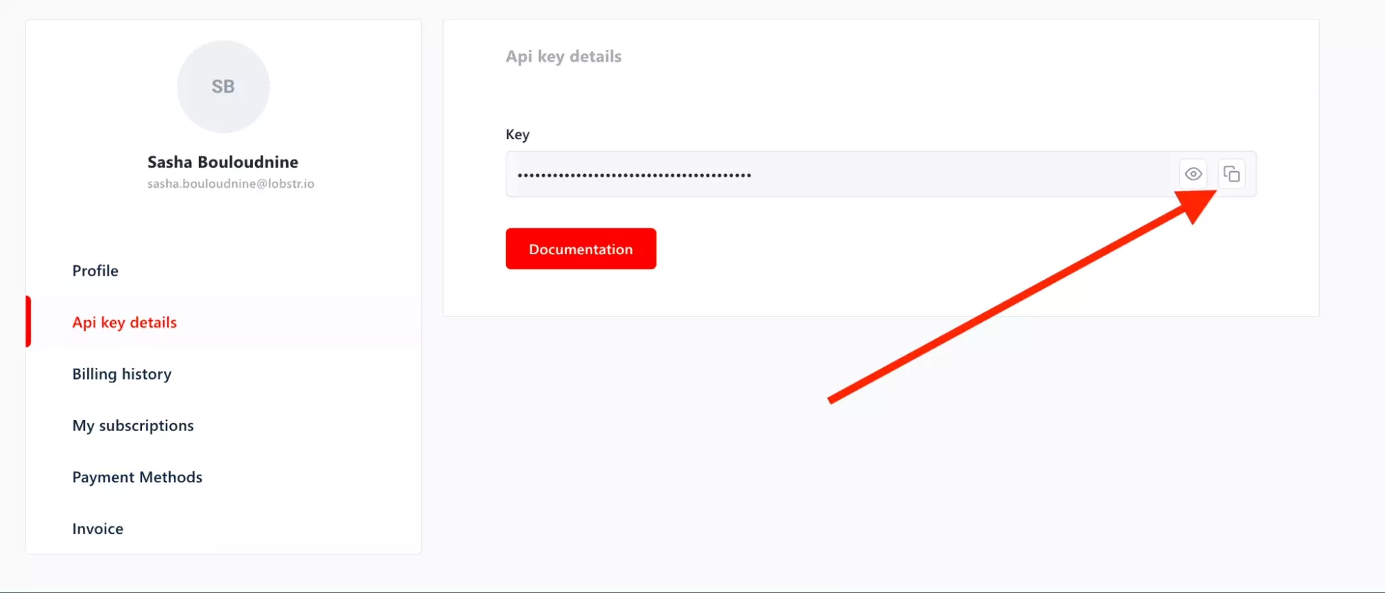 copy api key from dashboard lobstr - image11.png