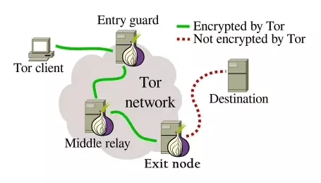 how-to-scrape-data-anonymously-using-tor-proxies-with-torpy-and-python-image-2.png