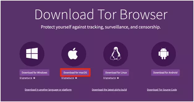how to scrape data anonymously using Tor proxies with Torpy and Python?-image-3.png