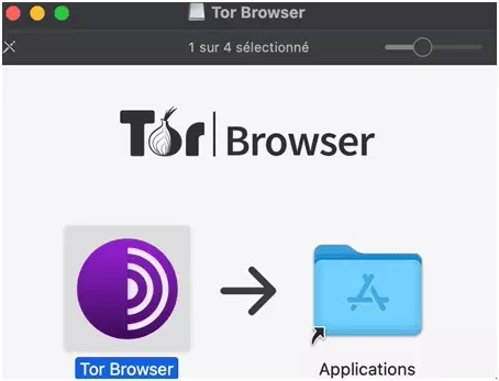how to scrape data anonymously using Tor proxies with Torpy and Python?-image-4.png