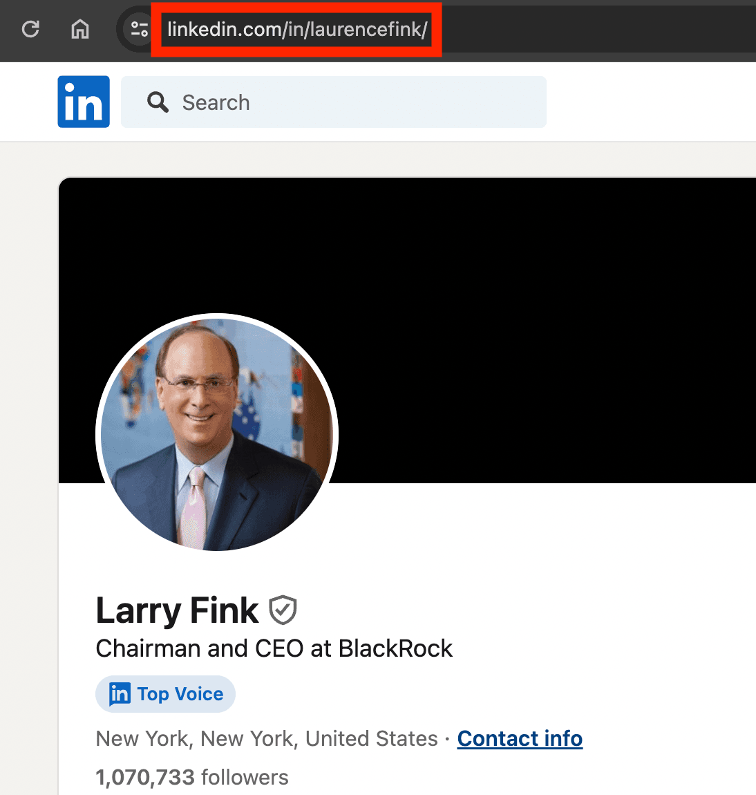 the elegance of power linkedin url example - image11.png